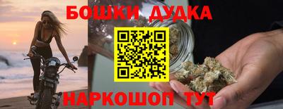 сатива Лесосибирск