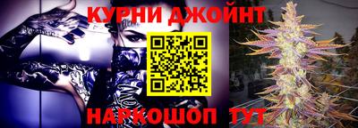 сатива Лесосибирск