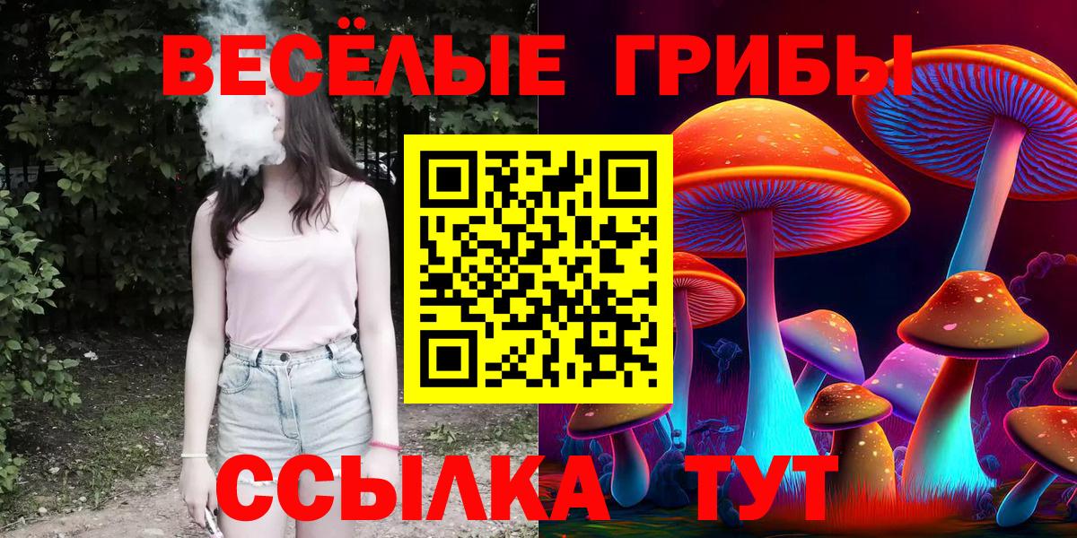 Галлюциногенные грибы MAGIC MUSHROOMS  Вход с VPN  сколько стоит  Камень-на-Оби 